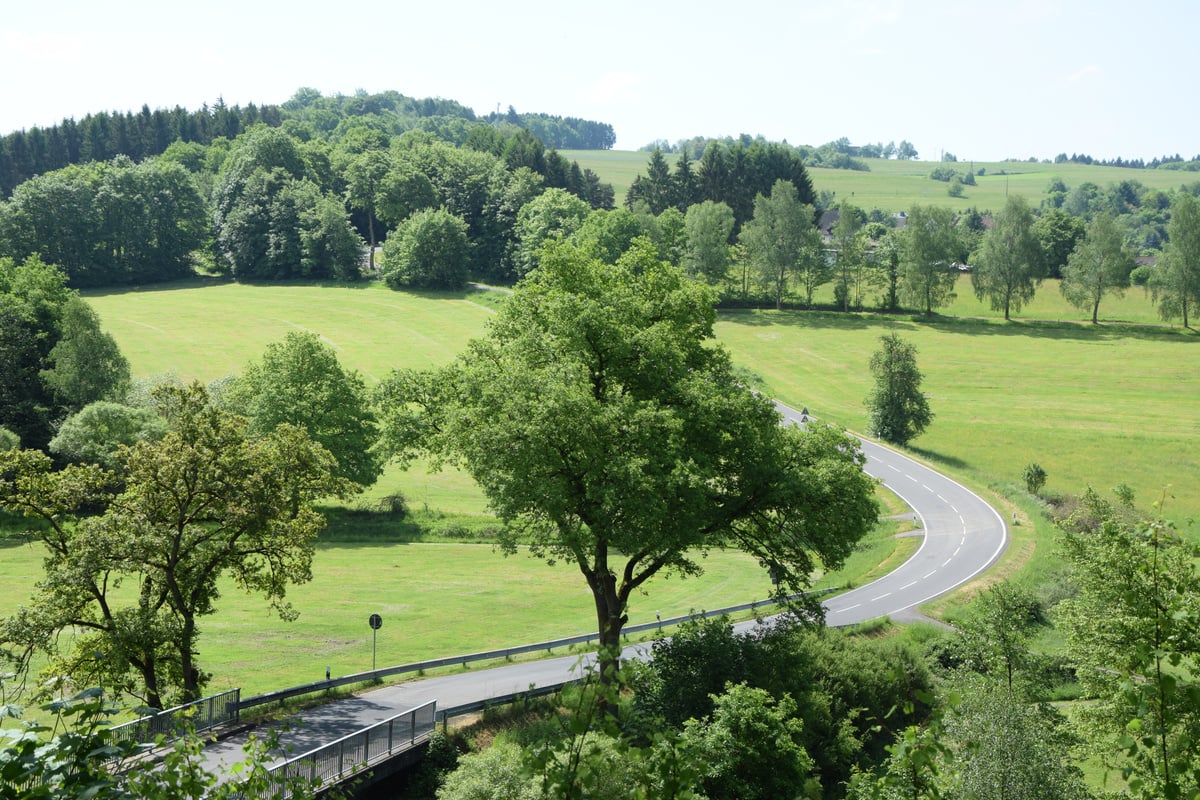 Road at Westerwald